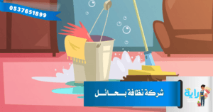 شركة نظافة بحائل