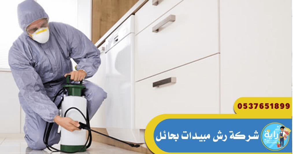 شركة رش مبيدات بحائل - 0537651899 - مكافحة حشرات بحائل 1 رش مبيدات بحائل