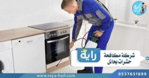 شركة مكافحة حشرات بحائل