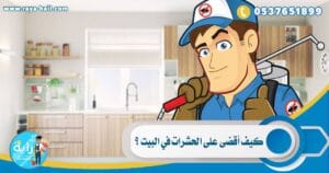 كيف اقضي علي الحشرات في البيت