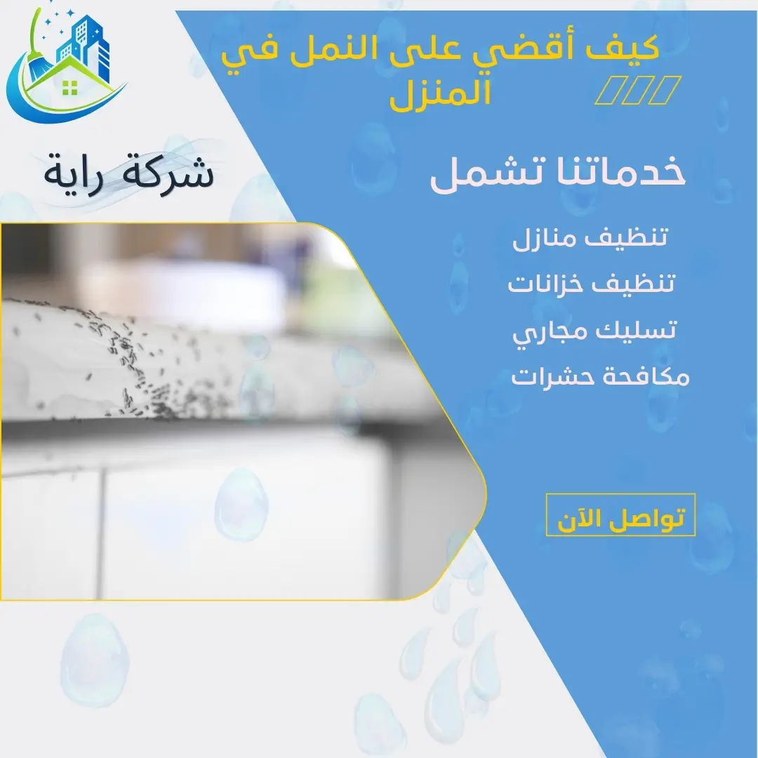 افضل طريقة للتخلص من النمل 