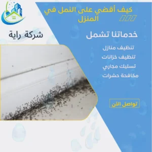 كيف أقضي على النمل في المنزل