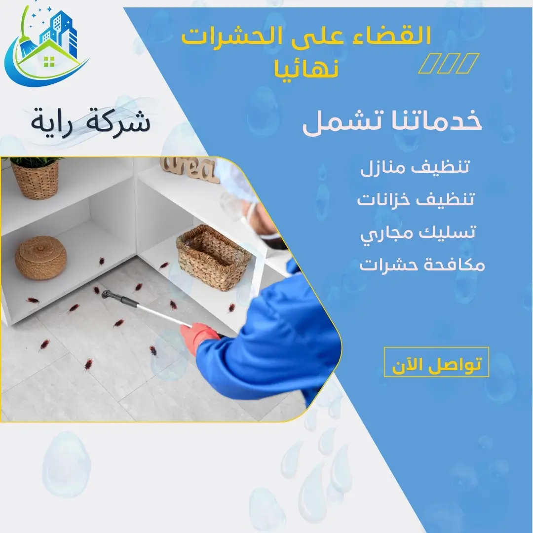 القضاء على الحشرات نهائيا بطرق منزلية وبدون استعمال مواد كيميائية 2 التخلص من الحشرات الطائرة والزاحفة