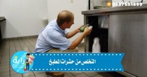 التخلص من حشرات المطبخ