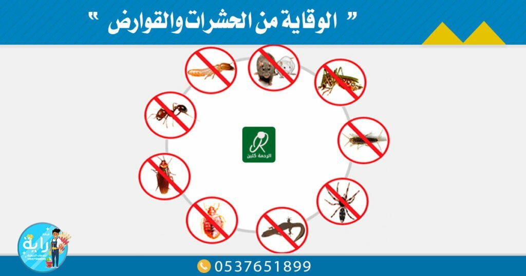 الوقاية من الحشرات والقوارض بهذه الأمور يمكنكم أن تحافظوا علي بيوتكم من الحشرات الوقاية من الحشرات والقوارض بهذه الأمور يمكنكم أن تحافظوا علي بيوتكم من الحشرات