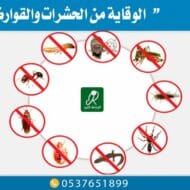 الوقاية من الحشرات والقوارض