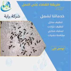 طريقة القضاء على النمل
