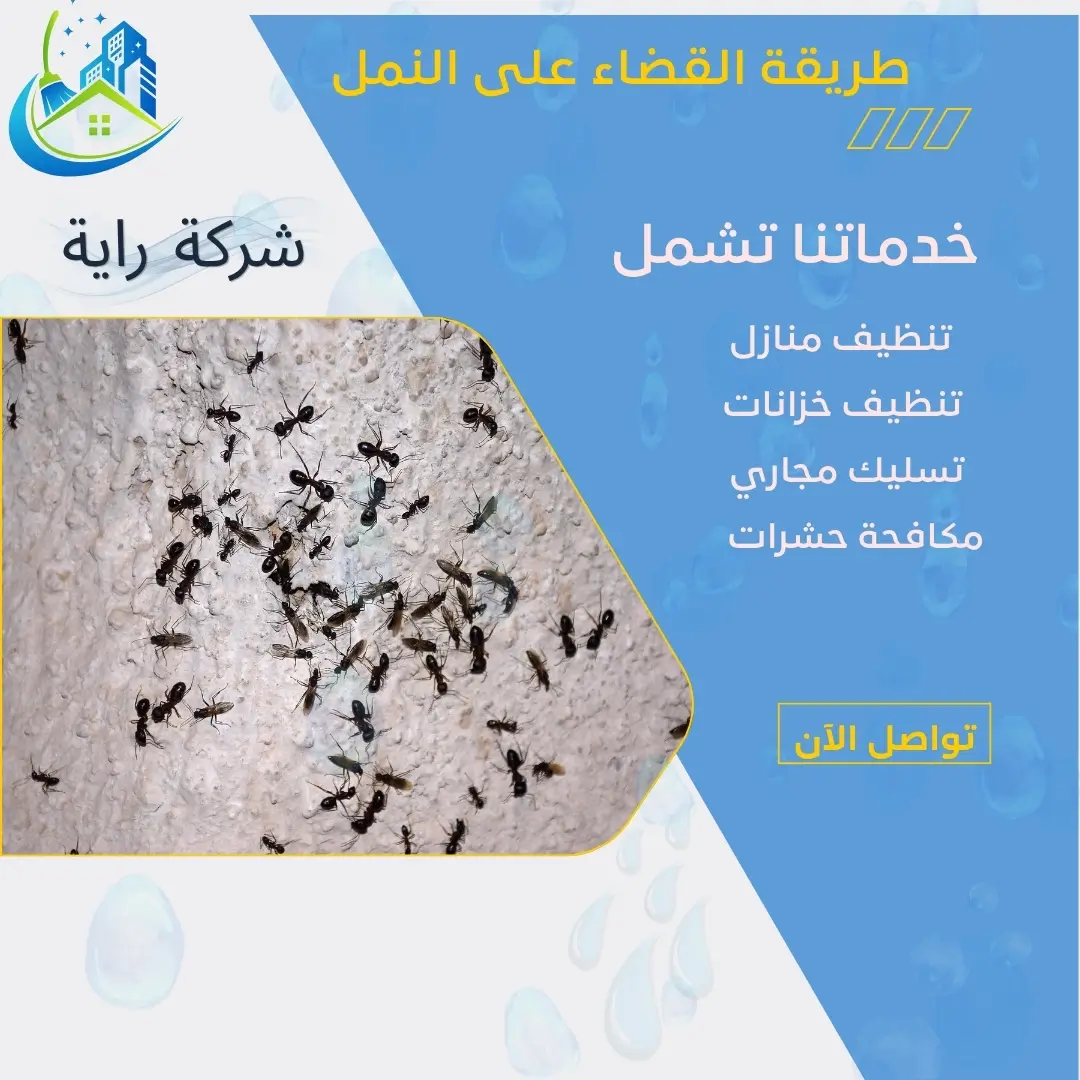 طريقة القضاء على النمل
