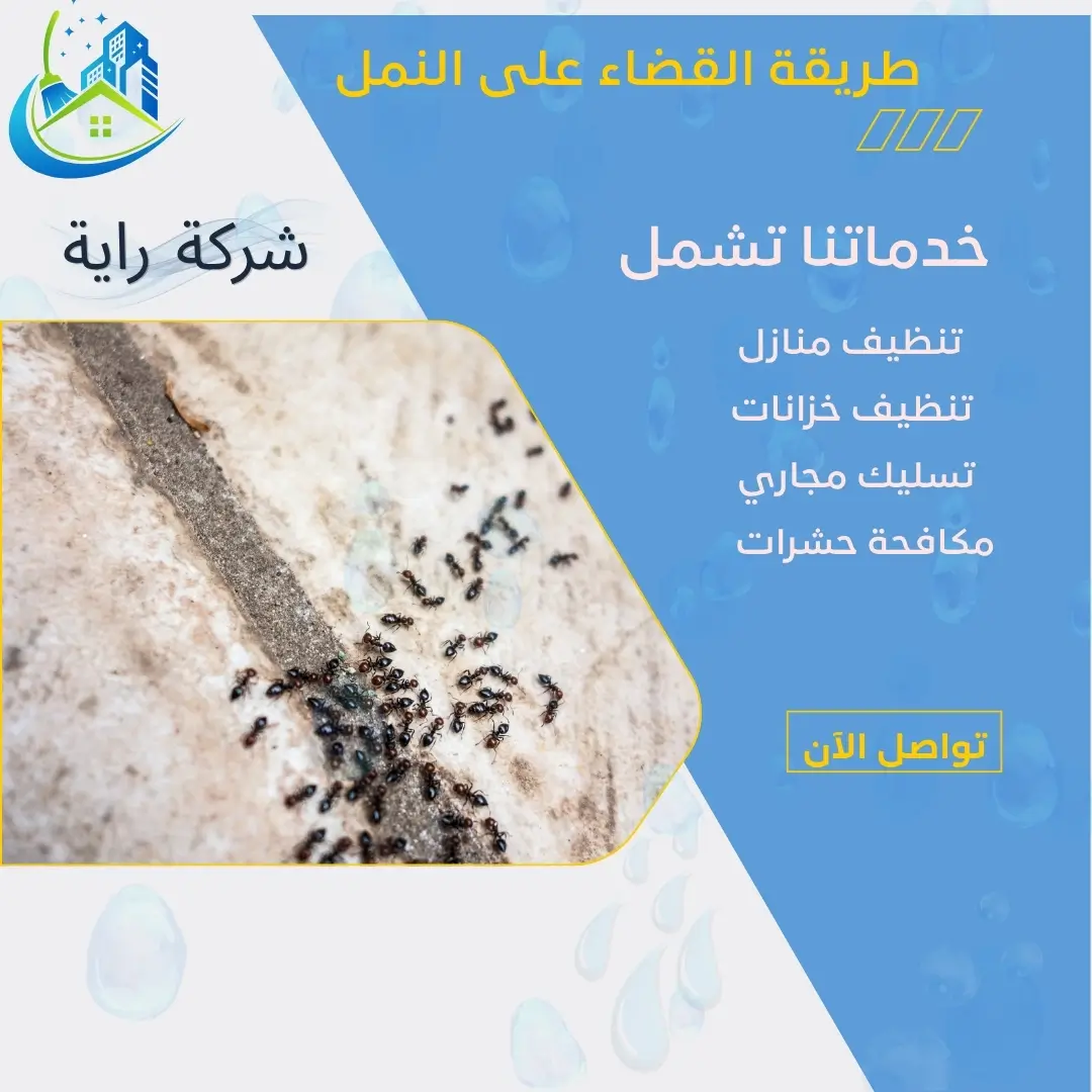 هل الليمون يساعد في طرد النمل