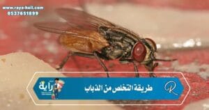 طريقة التخلص من الذباب