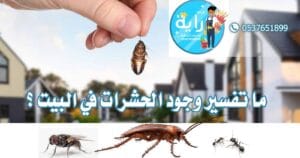 ما تفسير وجود الحشرات في البيت؟