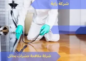 شركة مكافحة حشرات بحائل 0537651899 3 شركة رش مبيد بحائل