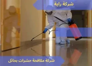 شركة مكافحة حشرات بحائل 0537651899 4 شركة مكافحة صراصير بحائل