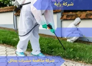 شركة مكافحة حشرات بحائل 0537651899 2 افضل شركة مكافحة حشرات بحائل