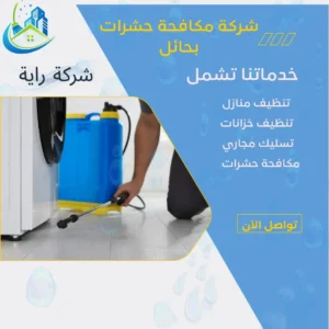 شركة مكافحة حشرات بحائل